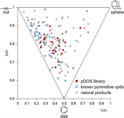 Design and Synthesis of Conformationally Diverse Pyrimidine-Embedded Medium/Macro- and Bridged Cycles via Skeletal Transformation